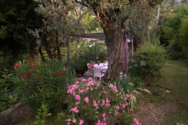 Bastide De La Lauve Bed and Breakfast Magagnosc Eksteriør billede