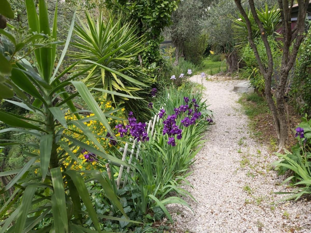 Bastide De La Lauve Bed and Breakfast Magagnosc Eksteriør billede